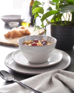 Reactive Glaze 12 Piece Dinner Set Grey