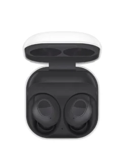 Samsung Galaxy Buds FE - Graphite